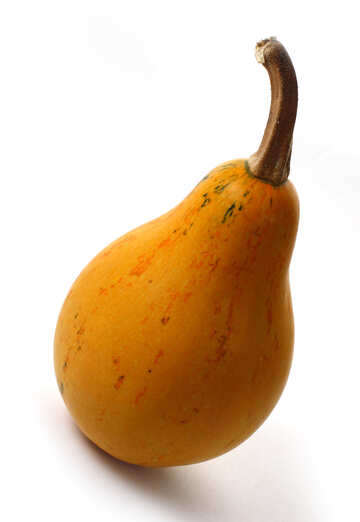 Pumpkin pear in isolation №35003