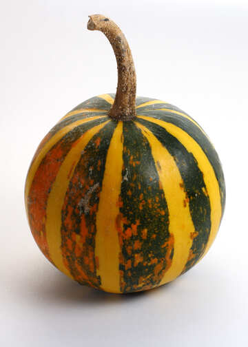 Yellow black pumpkin №35012