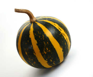 Yellow black pumpkin №35016