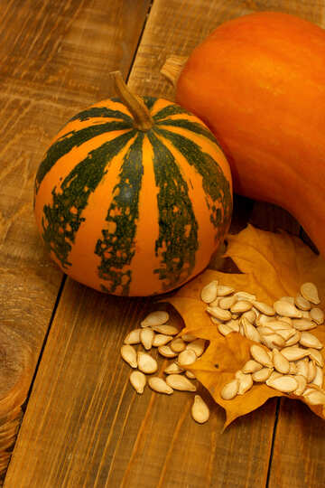 Pumpkin seeds №35533