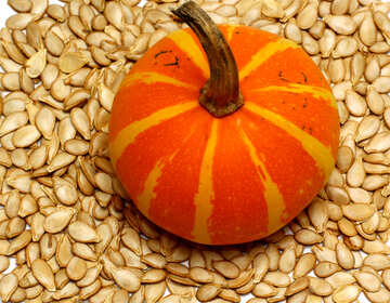 Pumpkin seeds on background of №35546