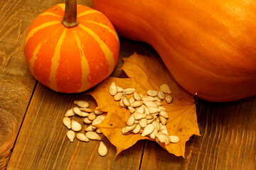 Edible pumpkin №35535