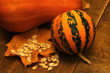 Pumpkin on the table №35531