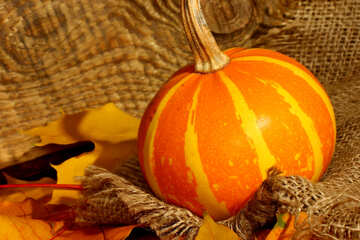 Still life with pumpkin on cloth background №35456