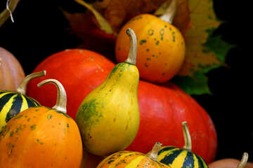Background with pumpkins №35126