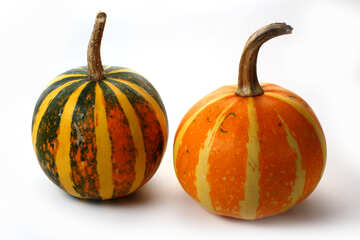 Pumpkins carved with no background №35011