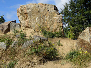 Las inscripciones en las rocas №35985
