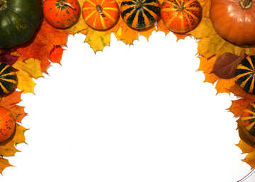 Autumn blank with pumpkins