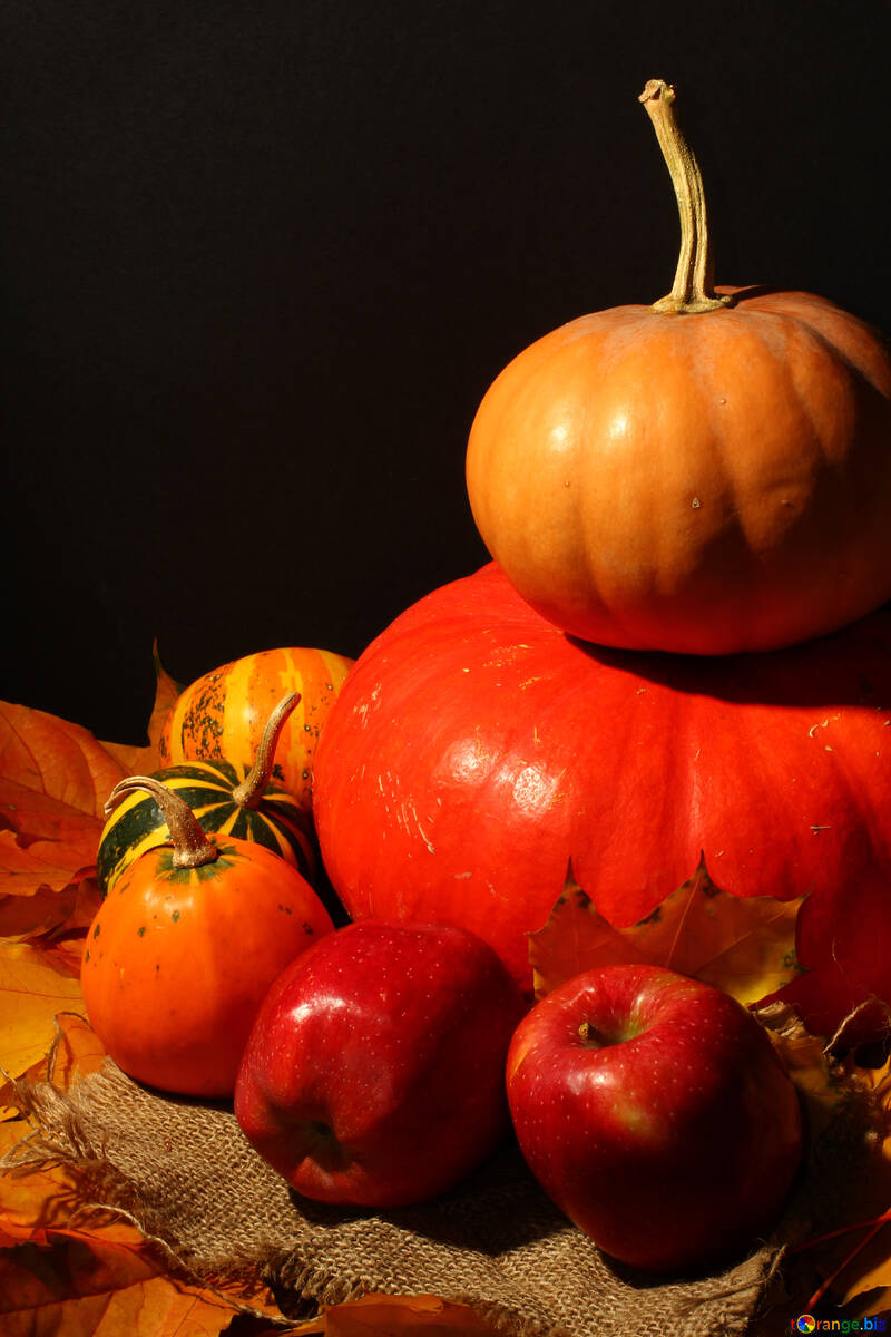 Otoño Bodegón con manzanas y calabazas №35335