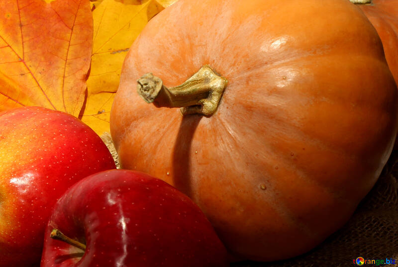Pumpkin and apples №35157
