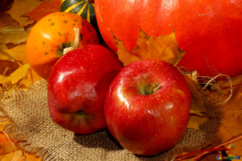 Apples and pumpkin №35339