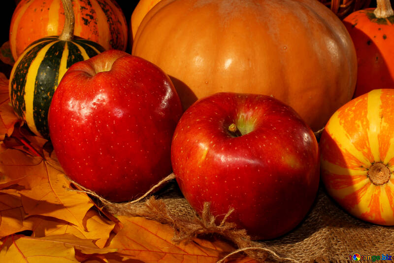 Pumpkins and apples still life №35324