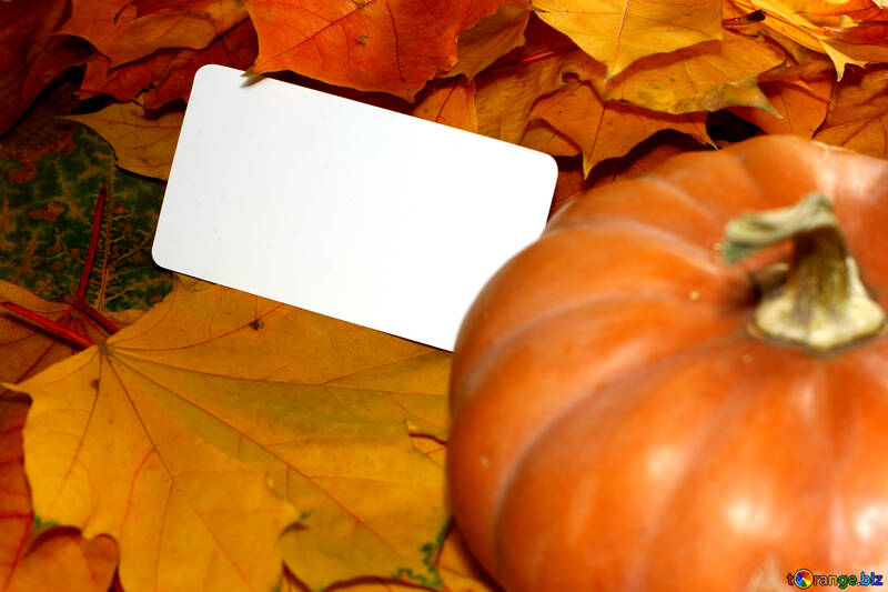 Autumn background card with pumpkin №35181