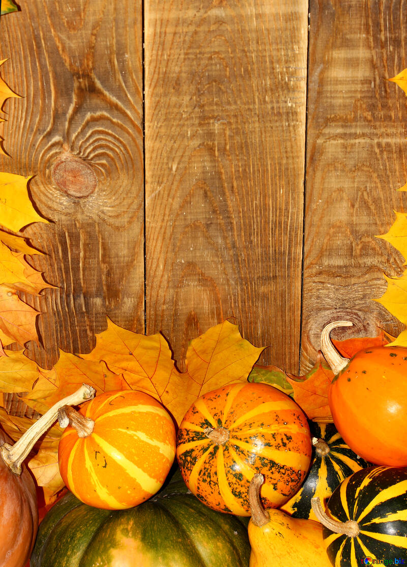 Autumn background with pumpkins below №35229