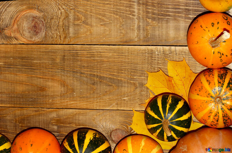 Autumn background with pumpkins in the corner №35218