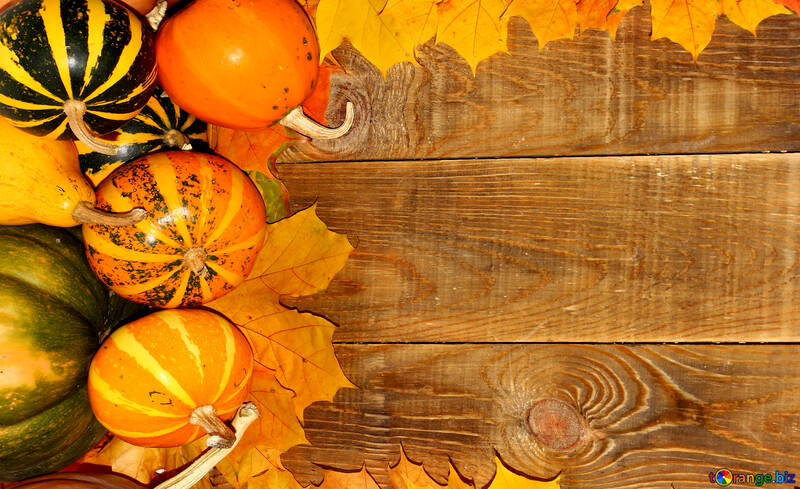 Autumn background with pumpkins side №35230