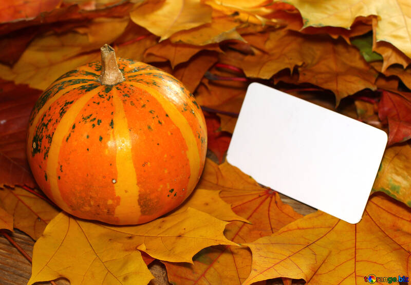 Otoño de invitación con calabaza y hojas de otoño №35186