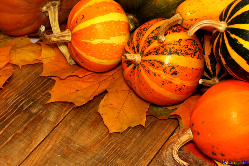 Autumn background with pumpkins №35221