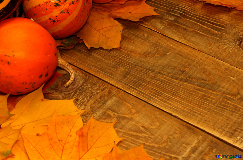 Autumn background with pumpkins №35222