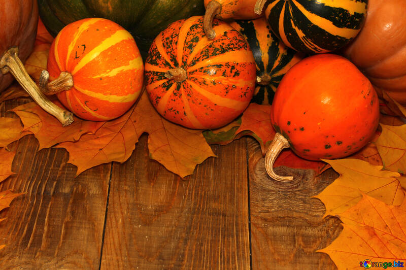 Autumn background with pumpkins №35225