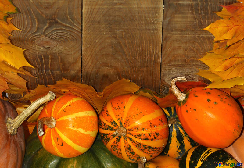 Autumn background with pumpkins №35234
