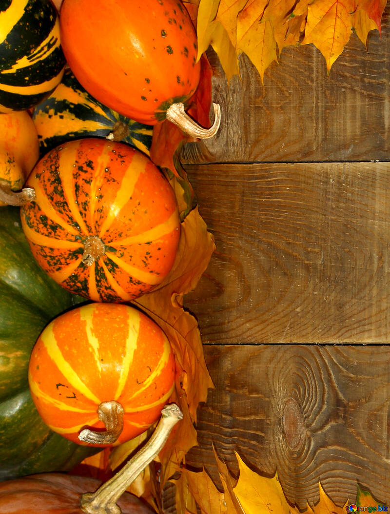 Autumn background with pumpkins №35235