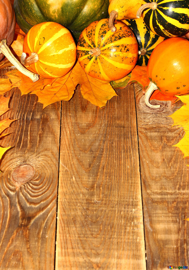 Autumn background with pumpkins №35236