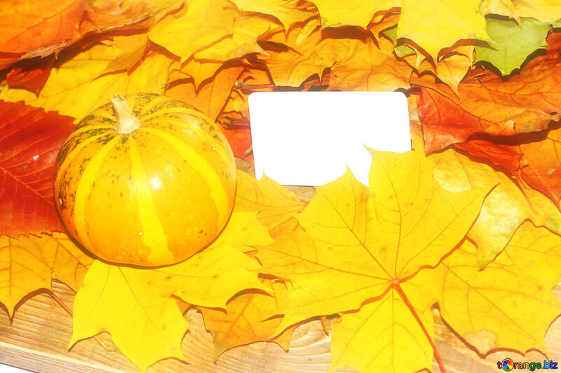 Hellen Hintergrund mit Blättern und weißen Karte №35185