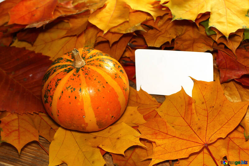 Autumn invitation for halloween №35184