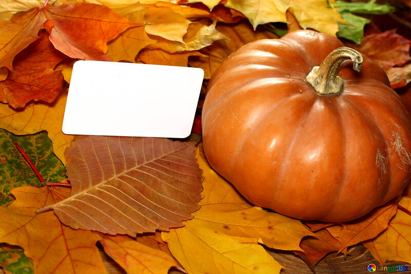 Invitation to the halloween pumpkin №35183