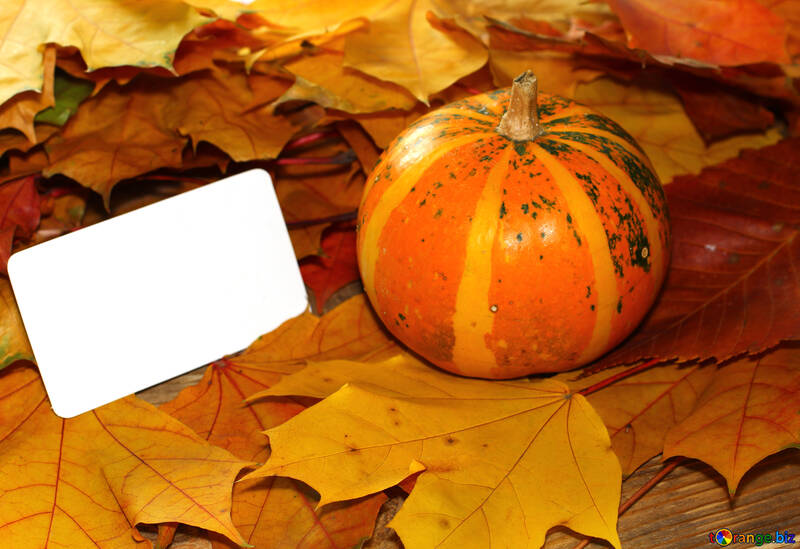 Picture background to the invitation with pumpkin №35187