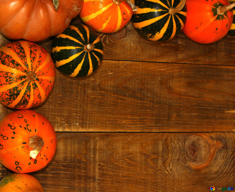 Autumn background with pumpkins №35212