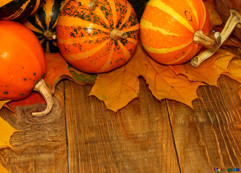 Autumn background with pumpkins №35220