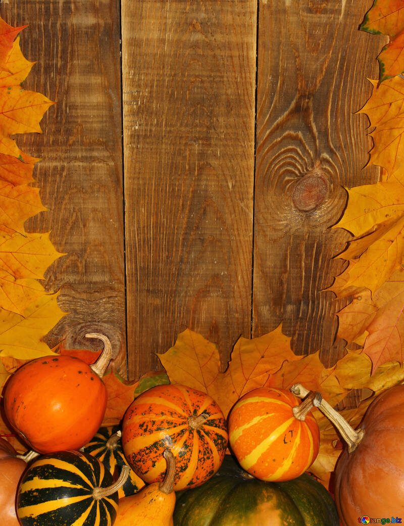 Autumn background with pumpkins №35227