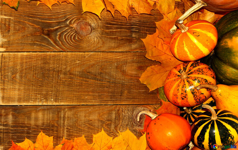 Autumn background with pumpkins №35228
