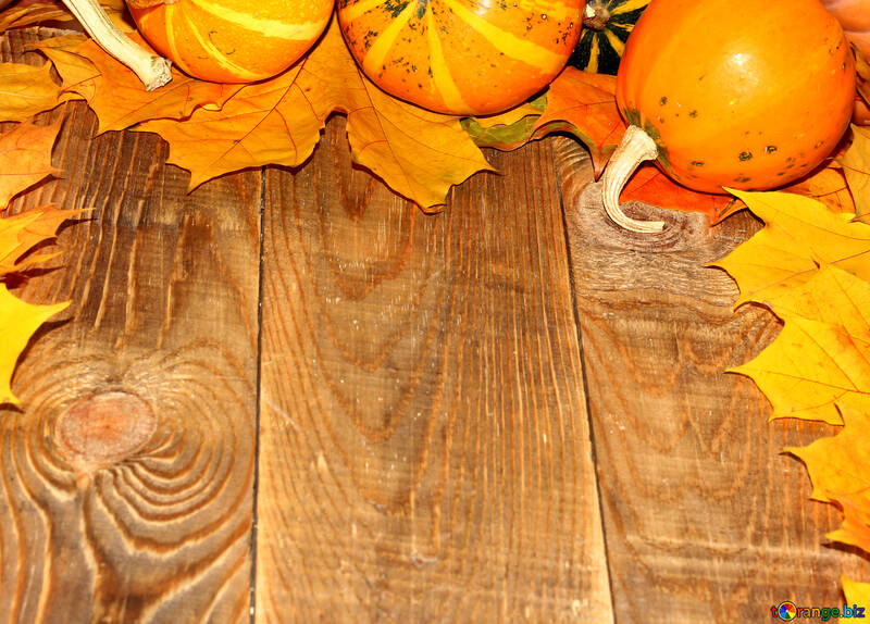 Autumn background with pumpkins №35231