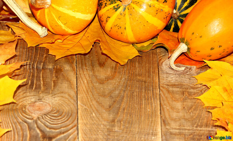 Herbst Hintergrund mit Kürbissen №35232