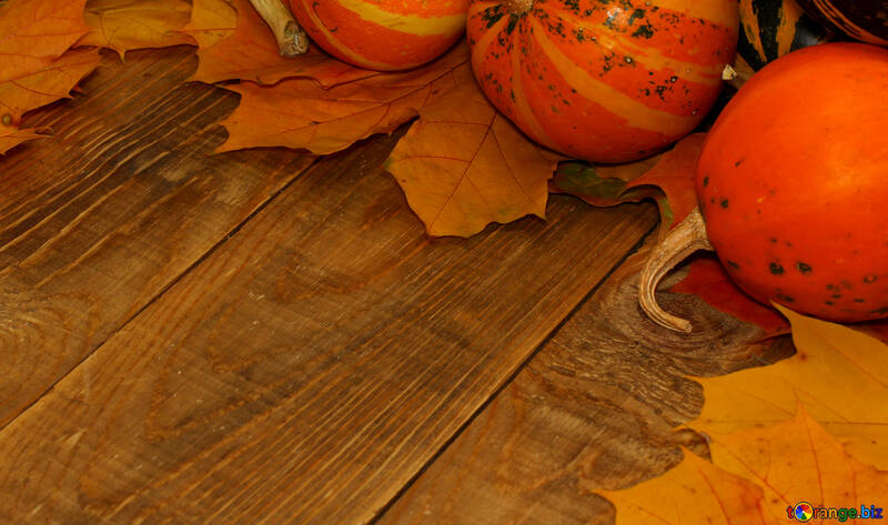Herbst Hintergrund mit Kürbis auf Holzbrettern №35223
