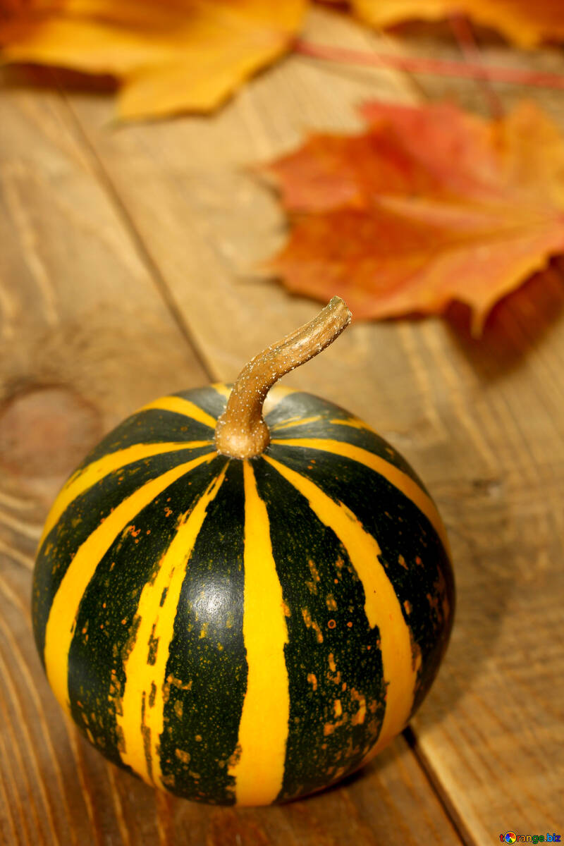 Autumn pumpkin №35202