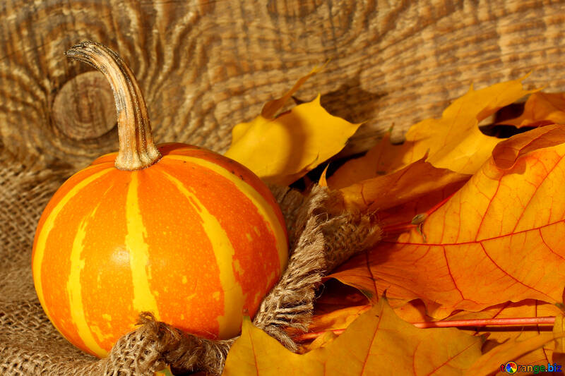Pumpkin on autumn leaves fabric on wood background №35454