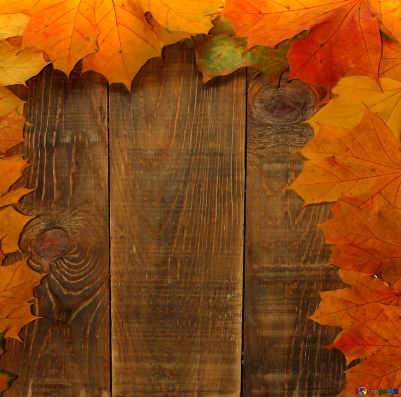 Hintergrund Blankokarten für Herbstlaub №35237