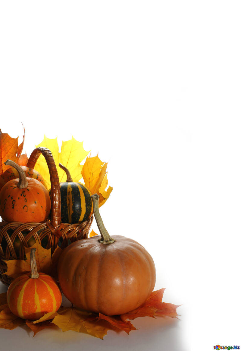 Basket with pumpkins isolated №35304