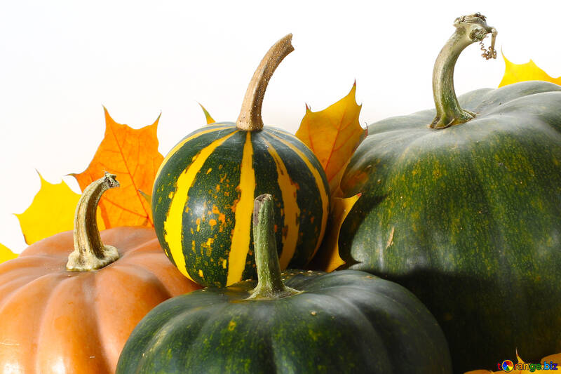 Background with pumpkins №35476