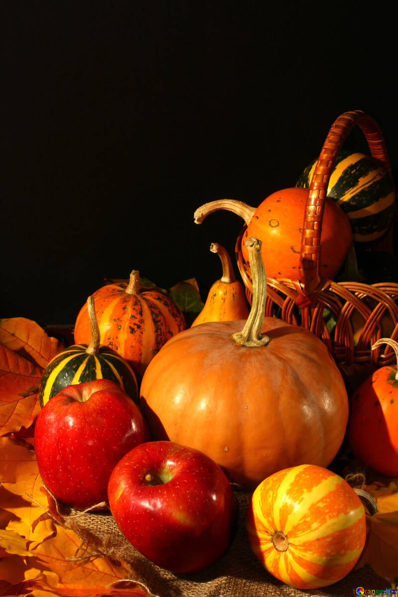 Autumn still life №35326