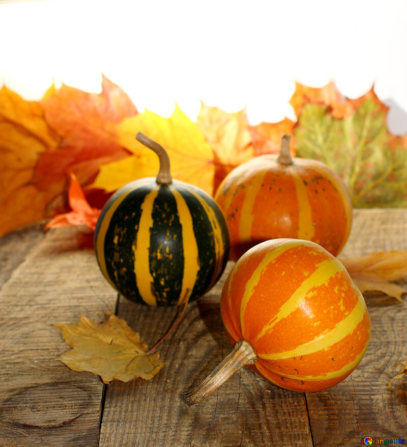 Pumpkins and autumn leaves №35255