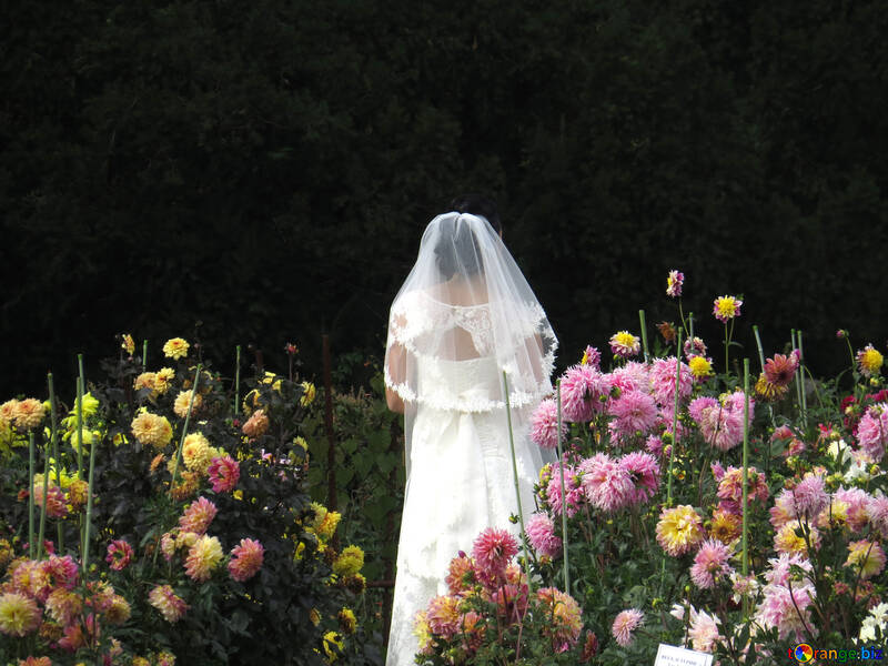 Die Braut in den Blumengarten №35807