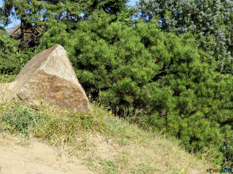 Eu sou pedra no projeto da paisagem №35982