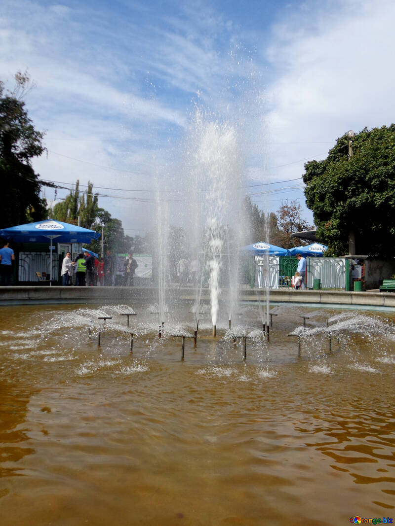 Fountain in the Park №35896