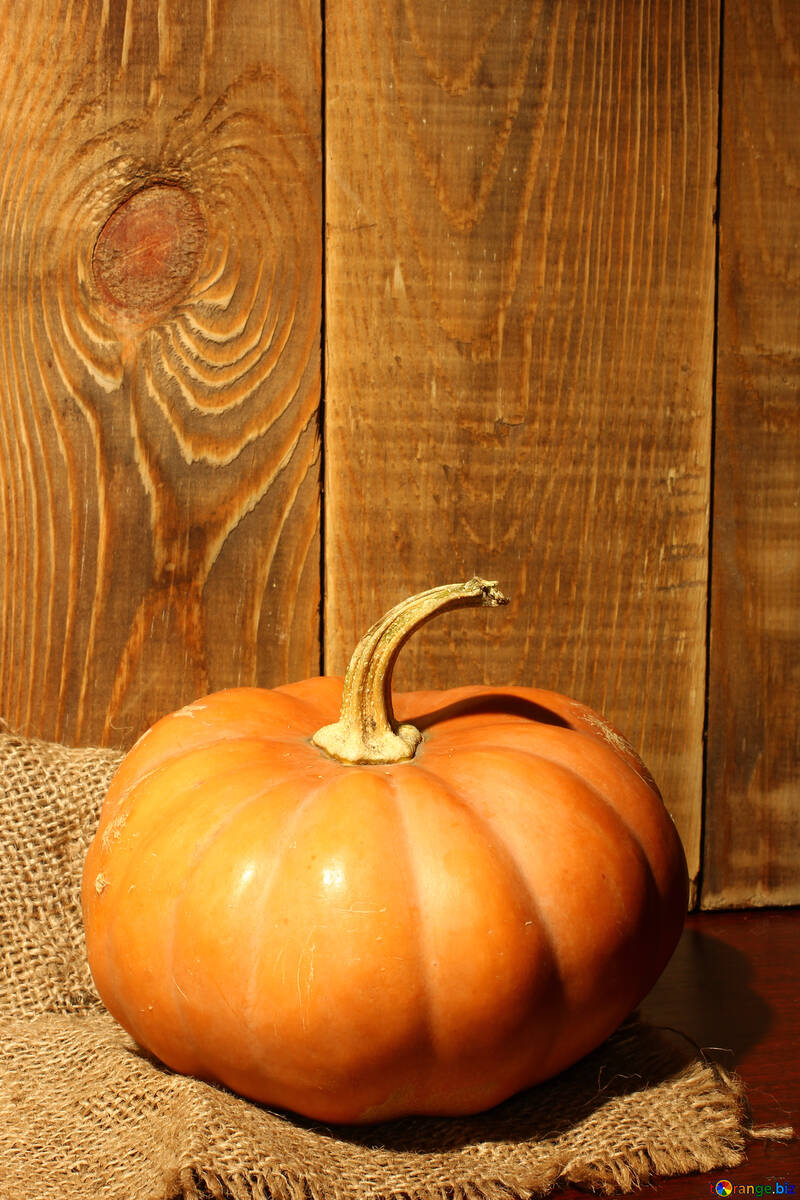 Beautiful pumpkin №35384