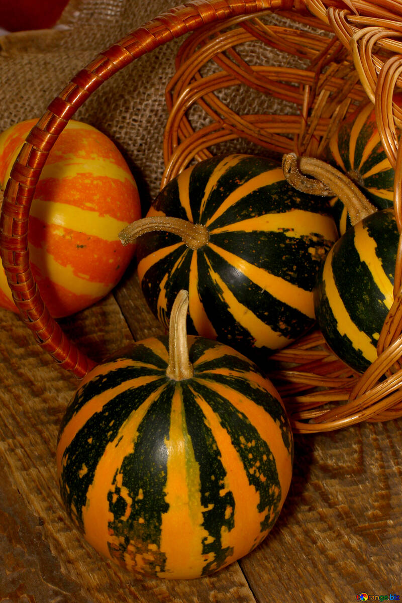 Decorative pumpkins №35151